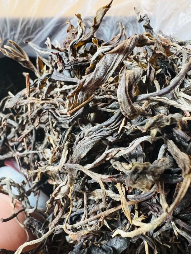 小勐峨云南高山古树普洱生茶散茶清香回甘口粮茶叶