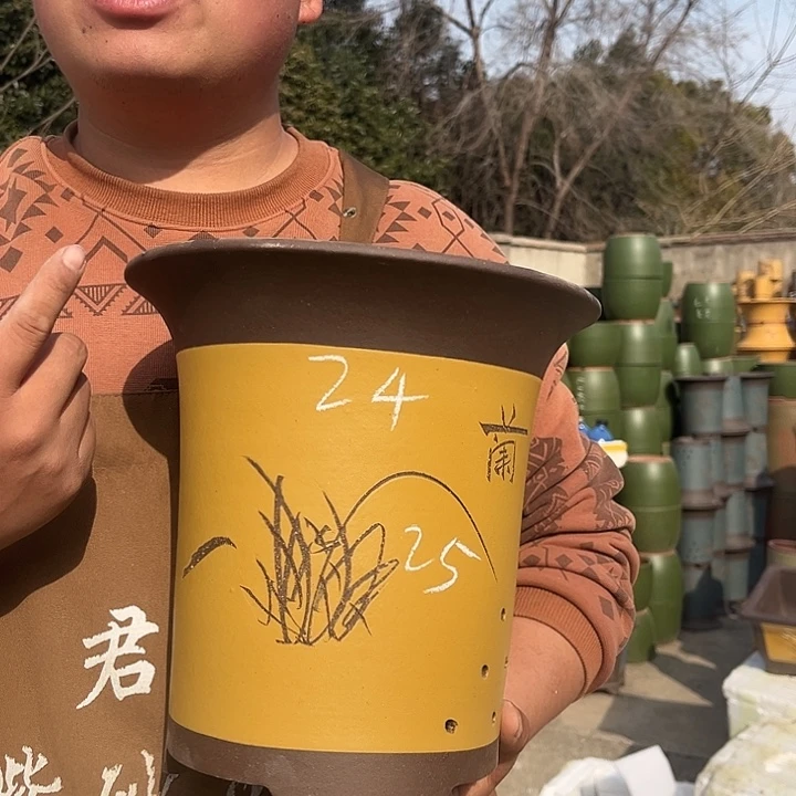 紫砂紫砂花盆盆栽