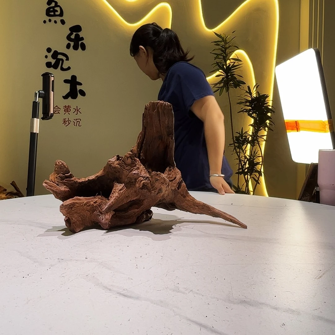 东***子会黄黑红水950。41 21 27