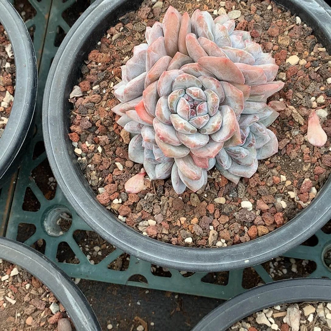 哈哈哈哈哈哈哈哈哈12