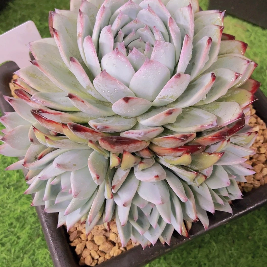 M**亮8888888888888888888888888