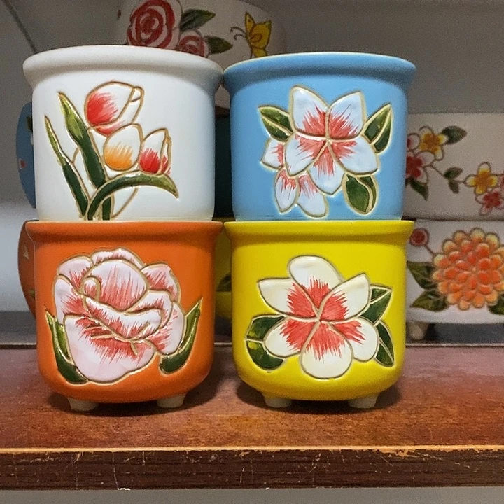 韩式多肉植物花盆