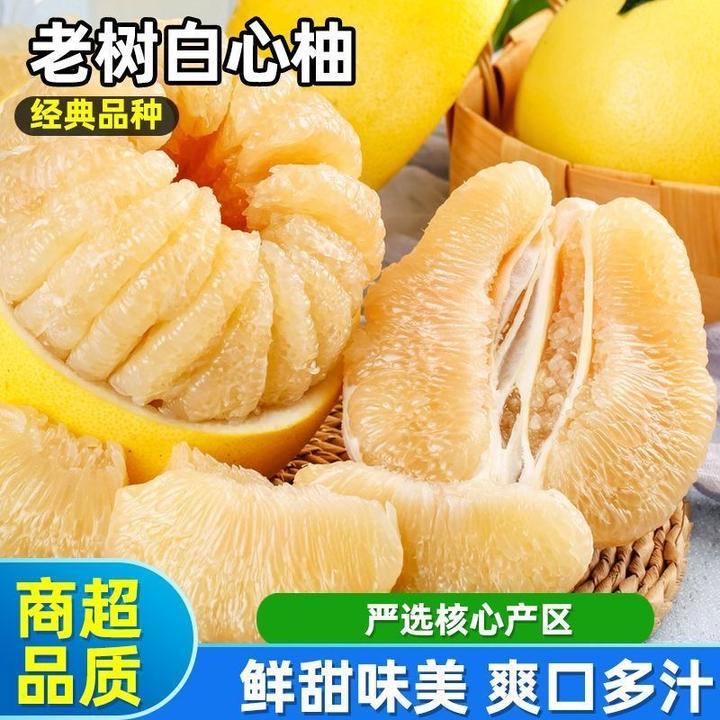 【奶糖柚】福建平和琯溪蜜柚 产地直发皮薄多汁坏果包赔