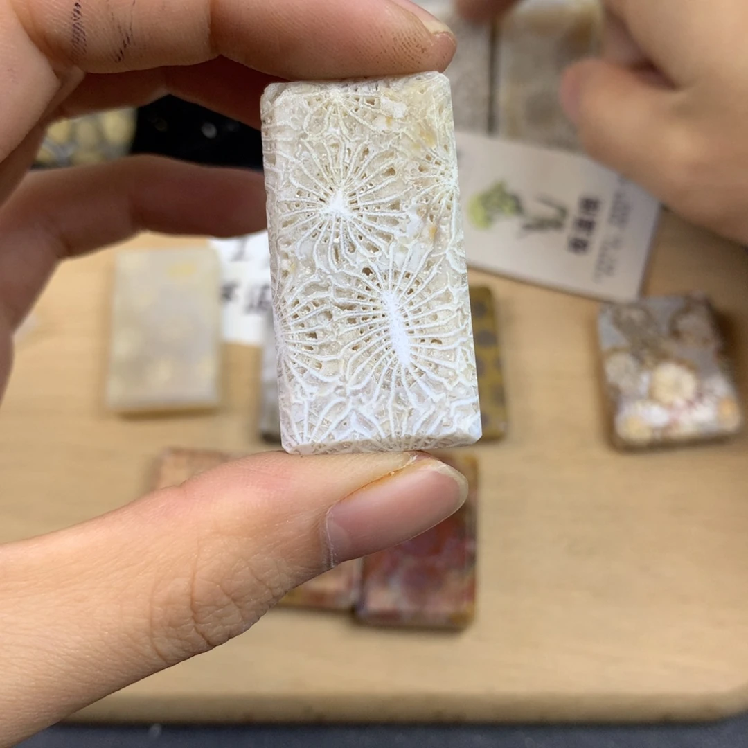 雪***人硅化珊瑚（珊瑚玉）未镶嵌五