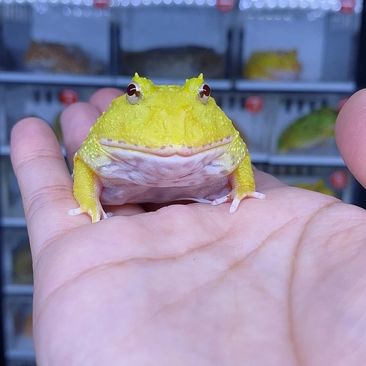 特价秒杀现货特价