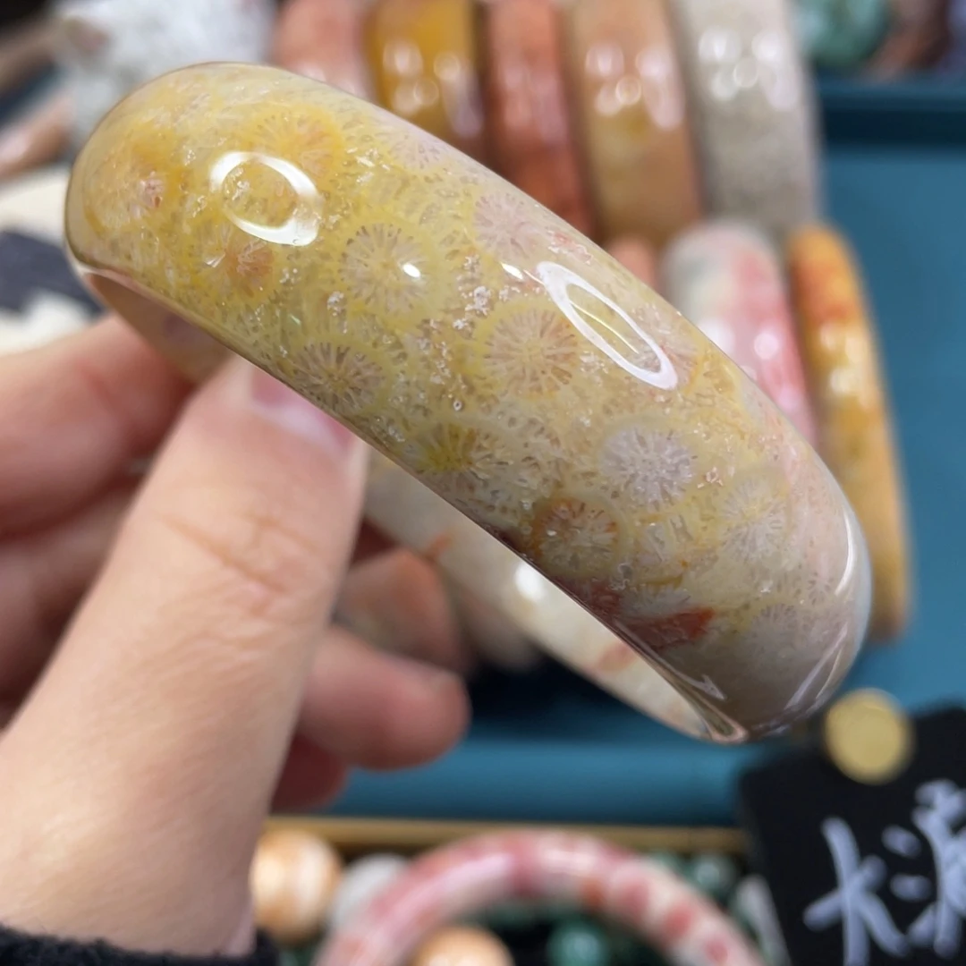 未镶嵌手镯硅化玉