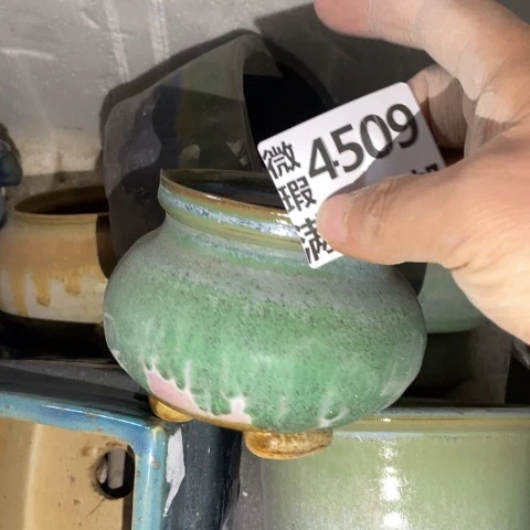 罐409 微瑕38包邮景德镇陶瓷