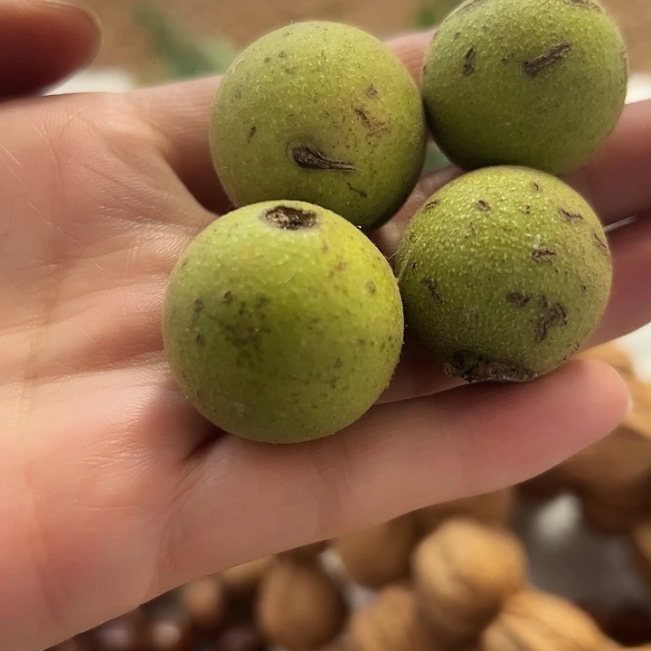 猴头核桃手串猴头青皮儿