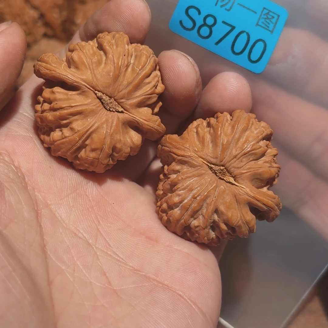 把件文玩核桃白狮子