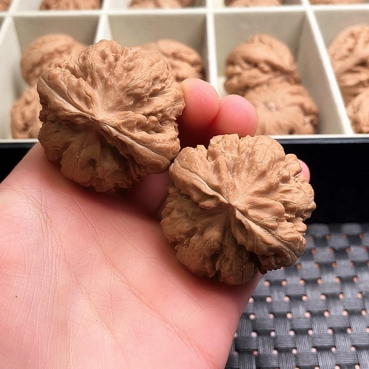 钱****霸王龙核桃尺寸42