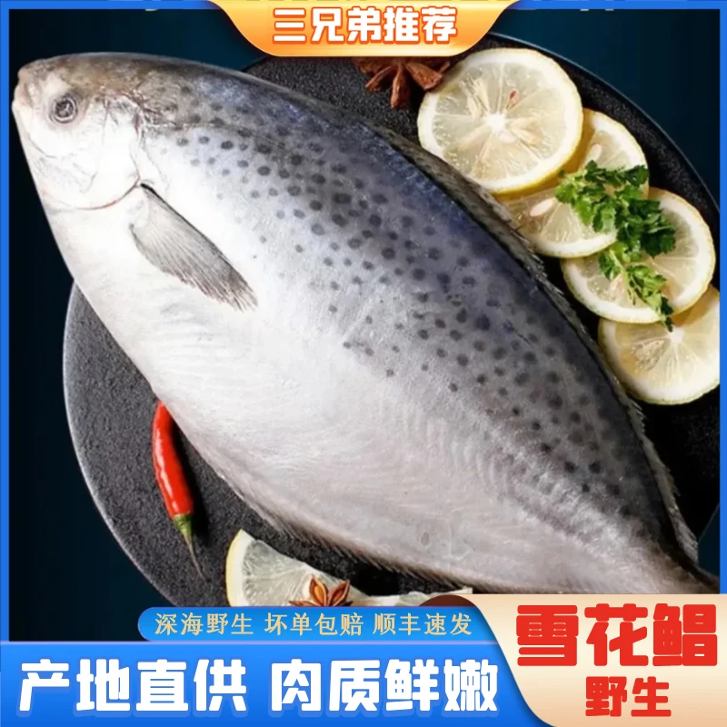 【三兄弟海鲜】雪花鲳鱼纯野生深海鱼新鲜直播300-400g/条5条1500g