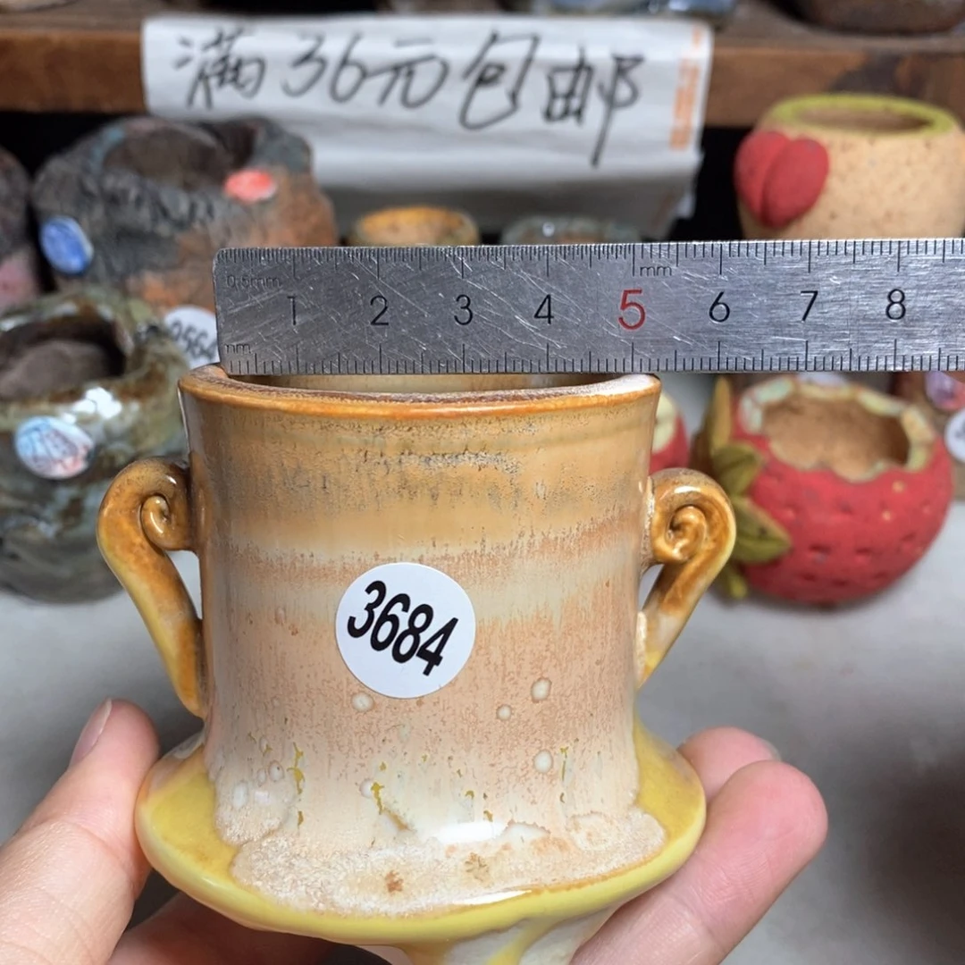 拍5送一个小礼物