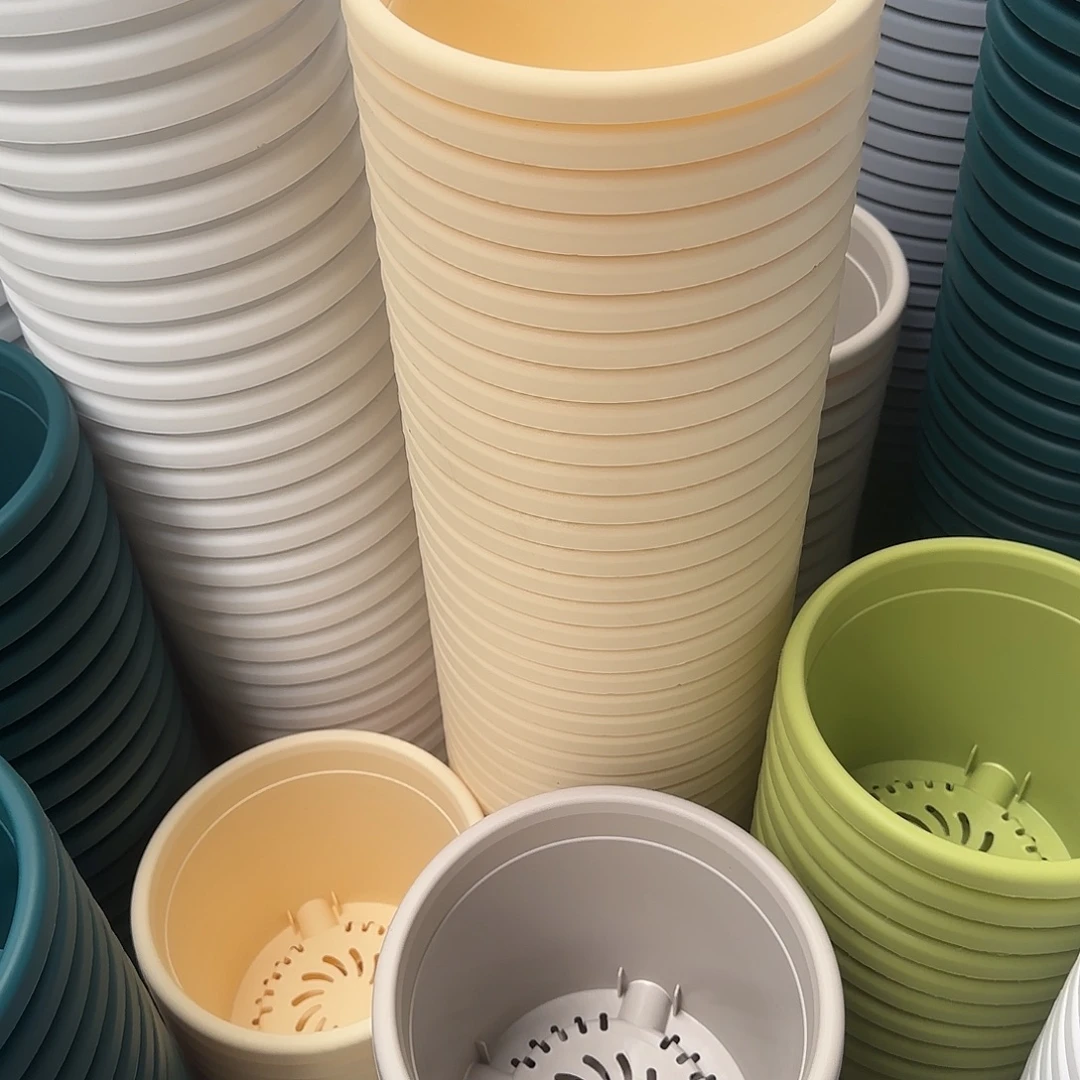 微瑕2号10个无托，米黄