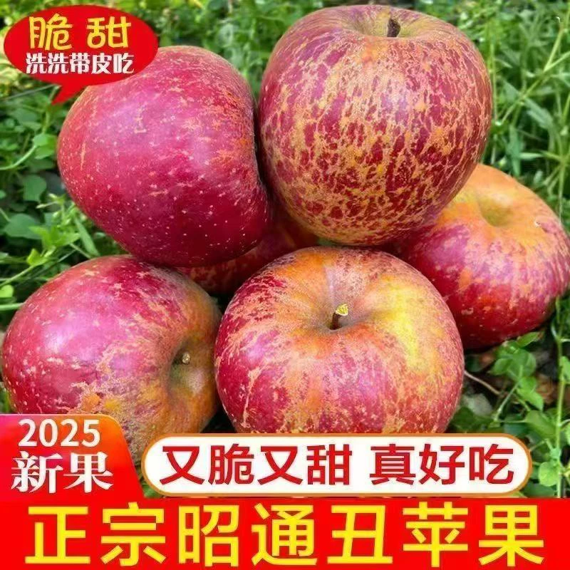 6【顺丰包邮】送货上门！云南昭通丑苹果苹果次日达富士丑苹果现摘新鲜脆甜多汁苹果云南省