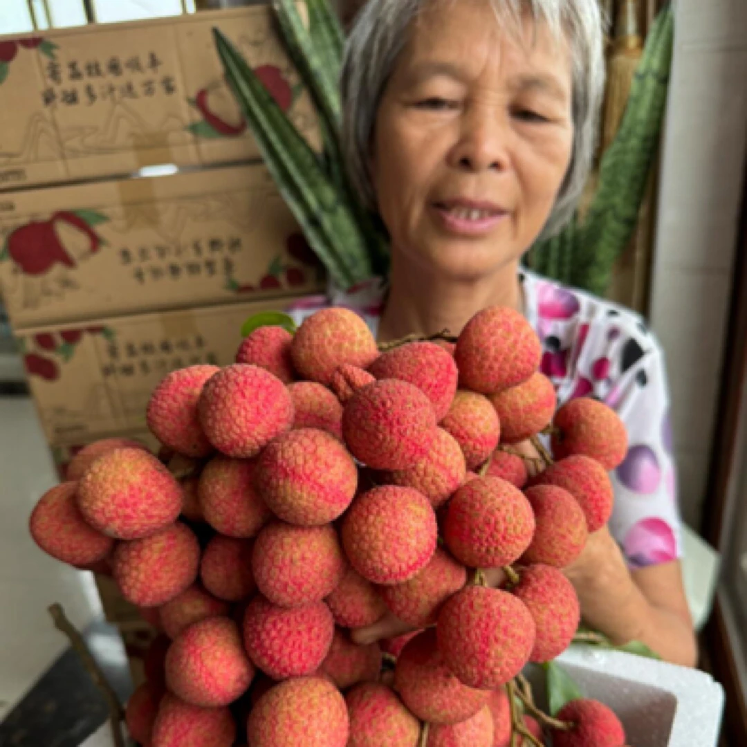 【白糖罂】新鲜白糖罂荔支当季采摘西安发货3斤5斤