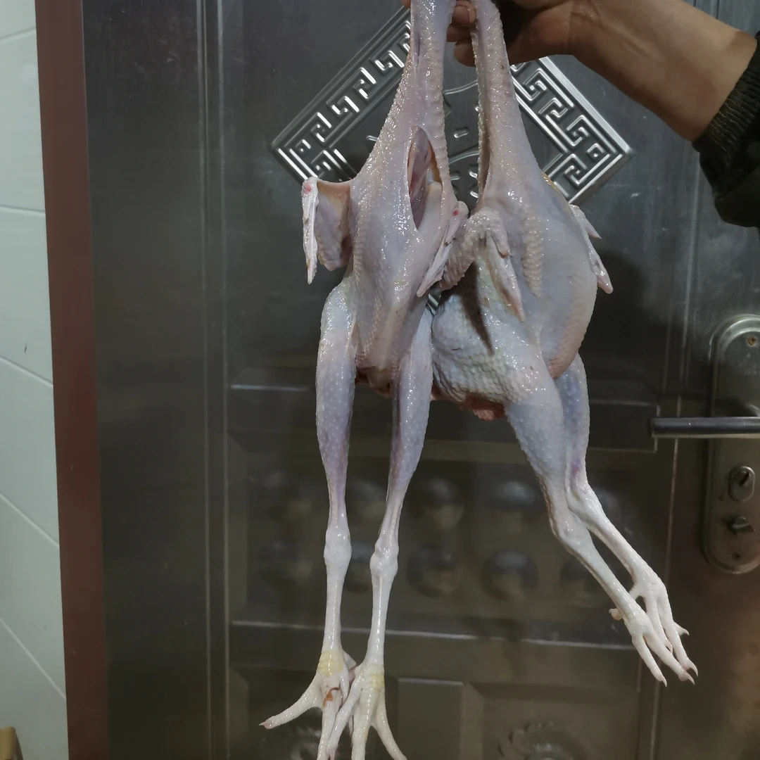 慢为农家童子鸡仔公鸡2只包邮