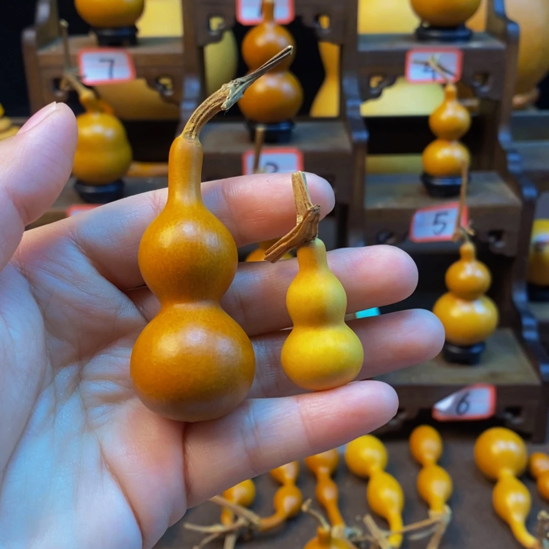 凤***店木咕噜咕噜咕噜咕噜