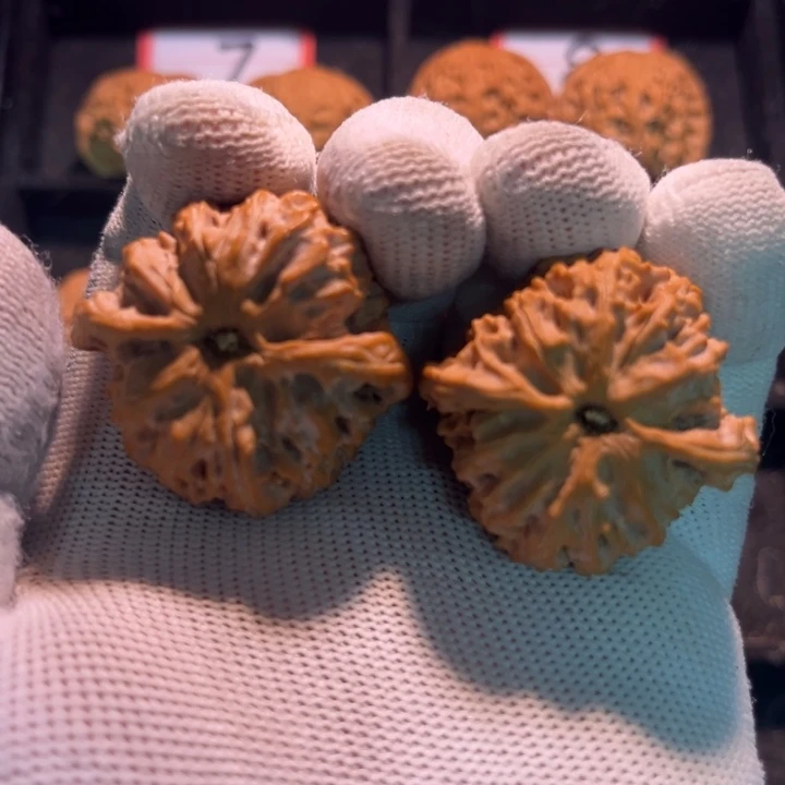 负***头桃核吊坠16秦皇岛山地果全品