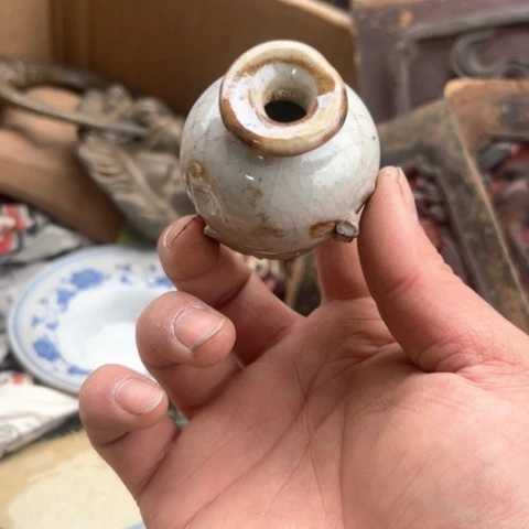 核桃木/黑胡桃（胡桃木）俊