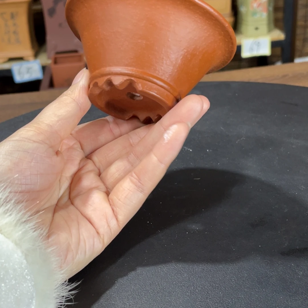 花盆紫砂我们也在