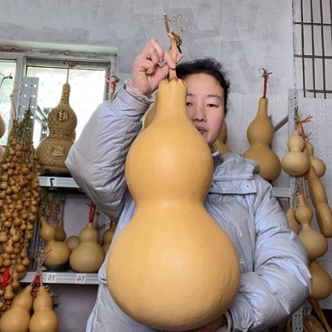 无**果天然植物葫芦文玩