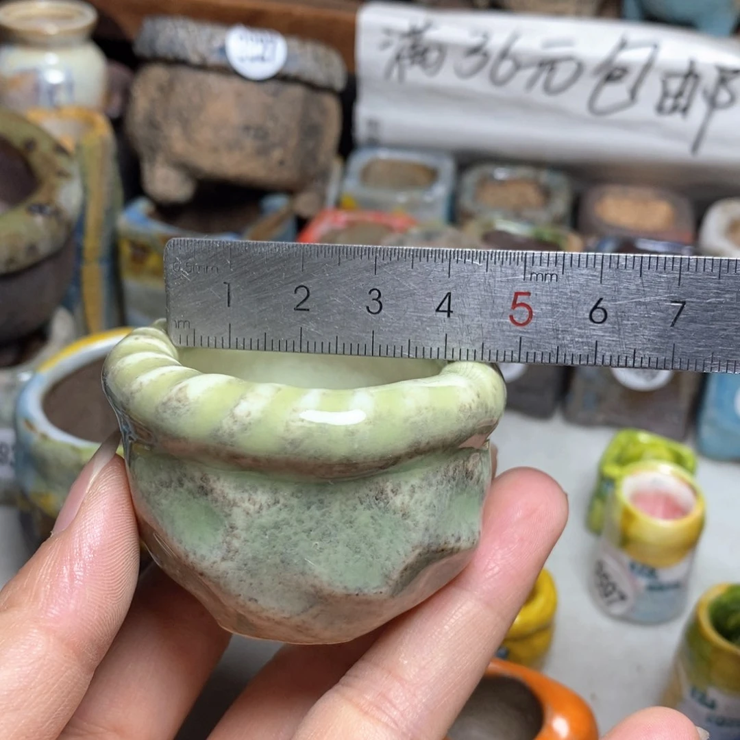 拍5送一个小礼物
