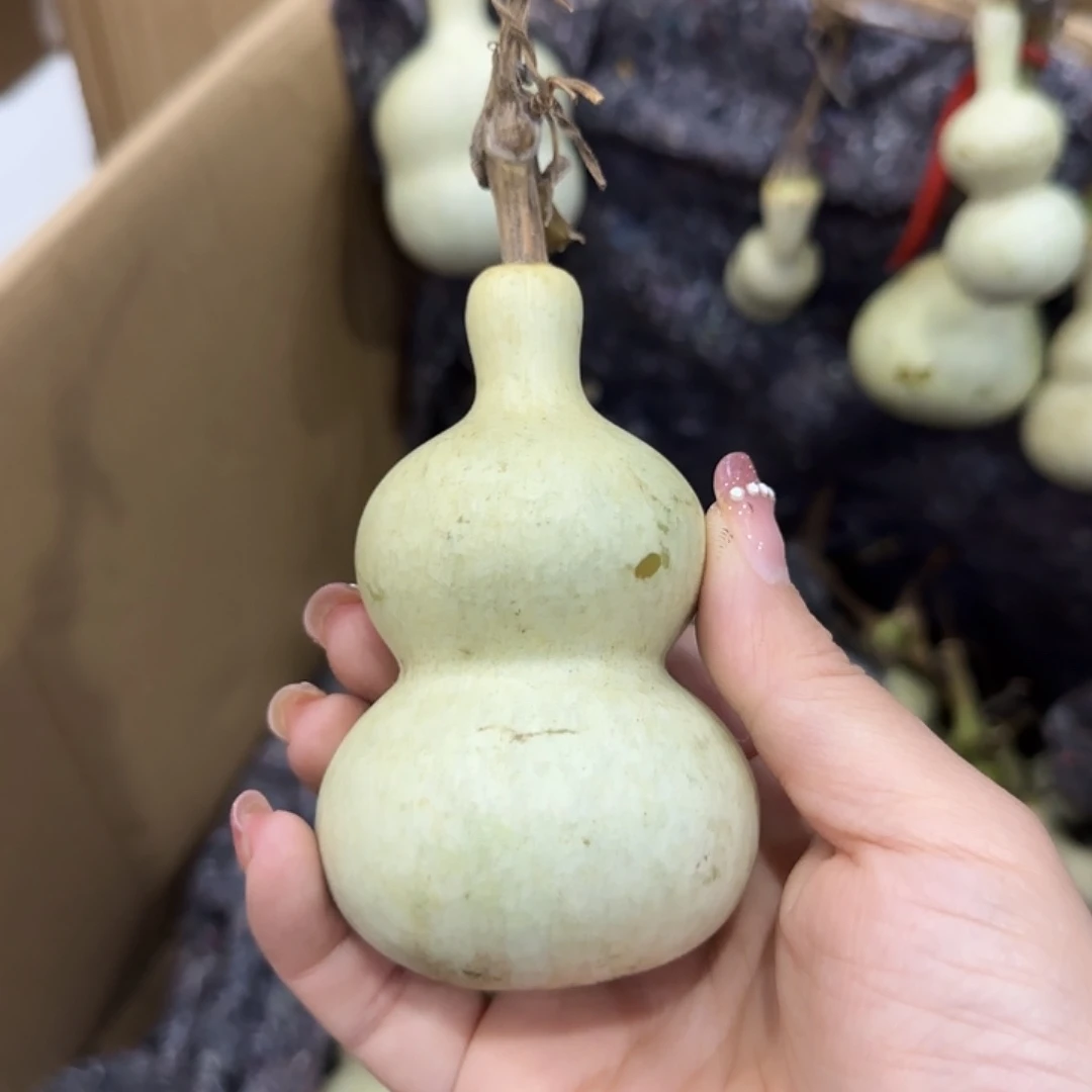 好***习葫芦嘎嘎嘎高Vhhhh刚刚好