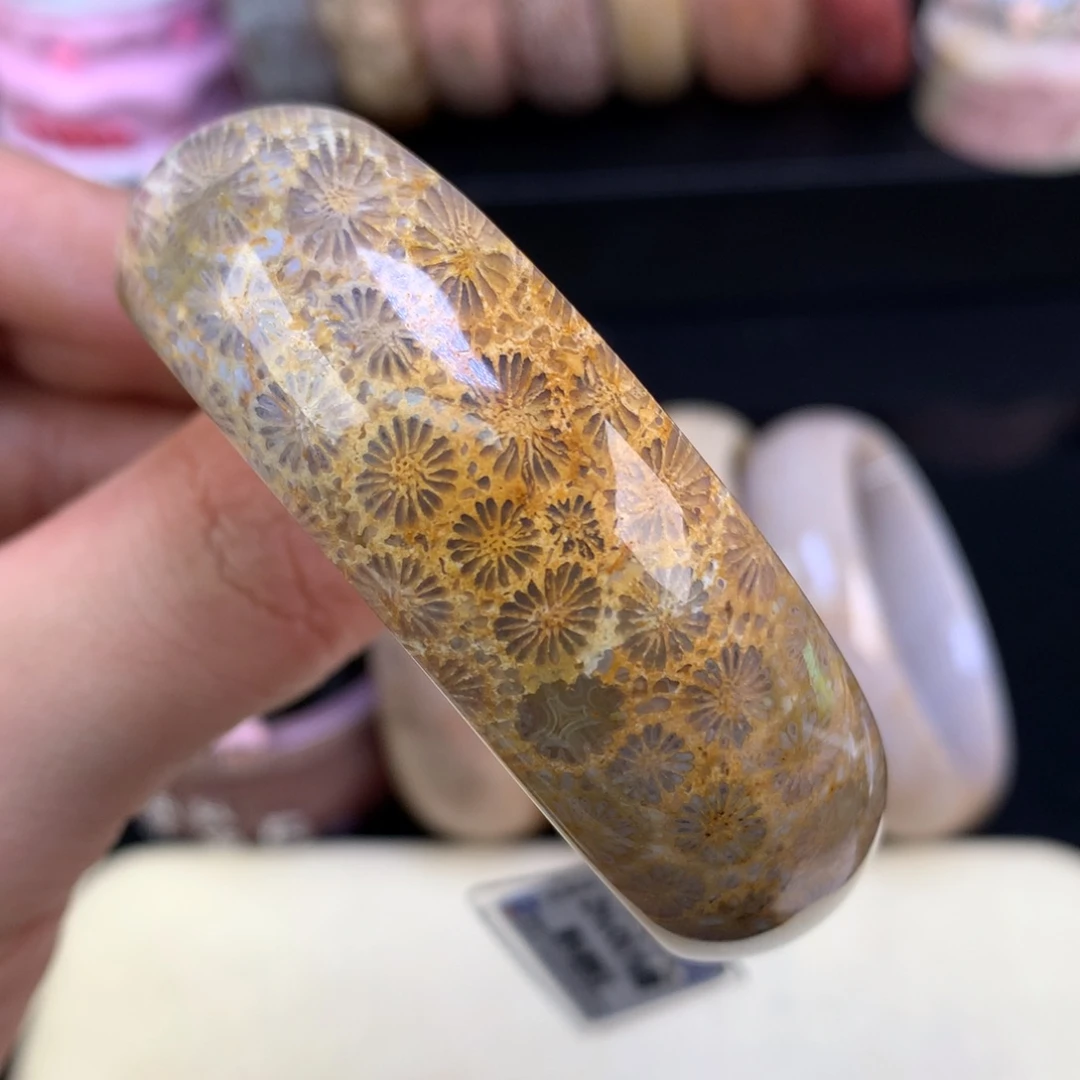 硅化珊瑚（珊瑚玉）未镶嵌颈饰56号金雏菊大花53.8圈