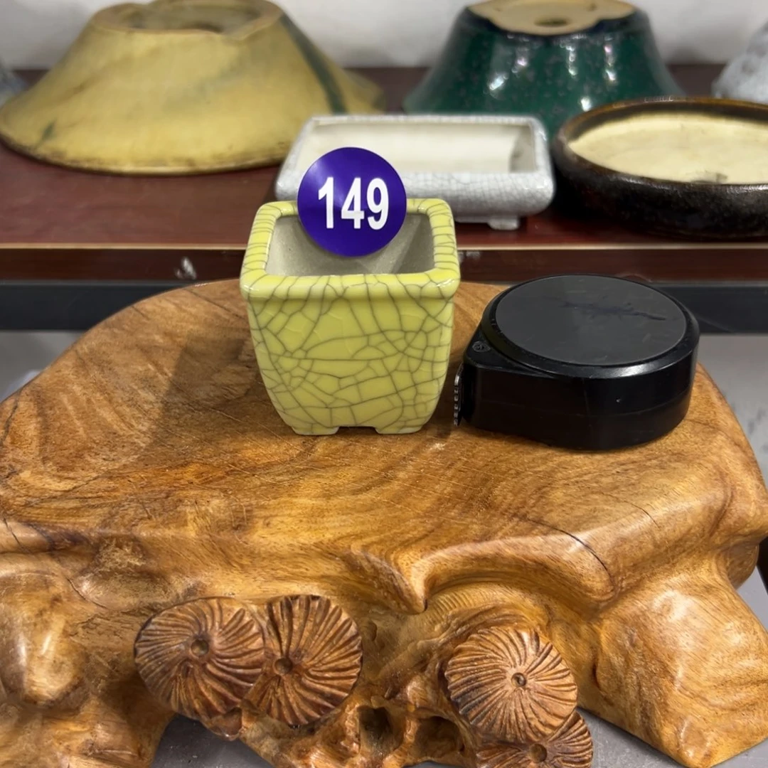 红陶曹*轻轻一点，直接输入149