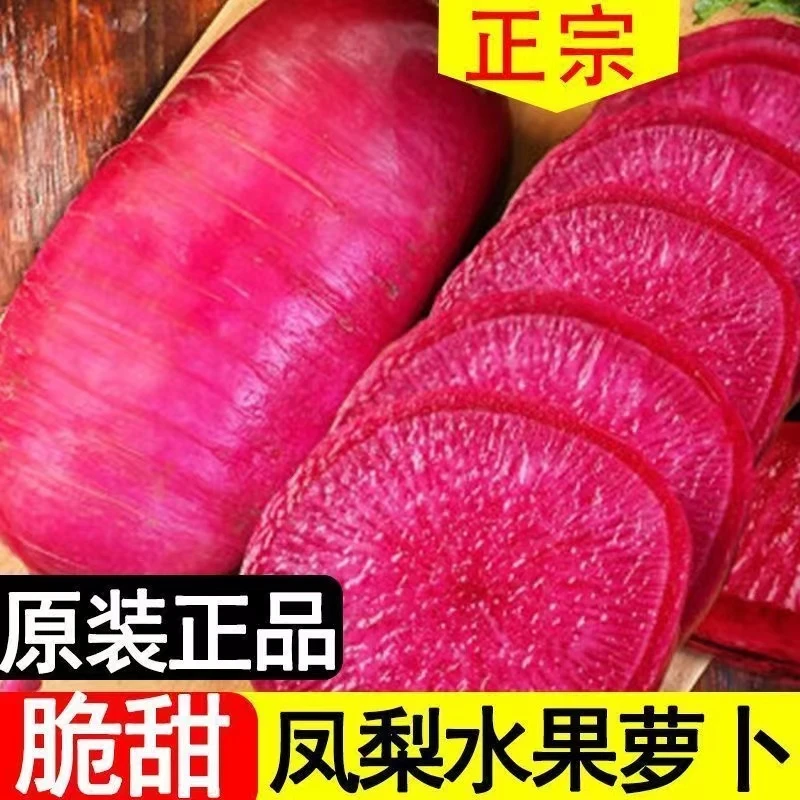 【新种上市】凤梨水果萝卜种子沙窝萝卜种籽红心四季蔬菜萝卜LZ