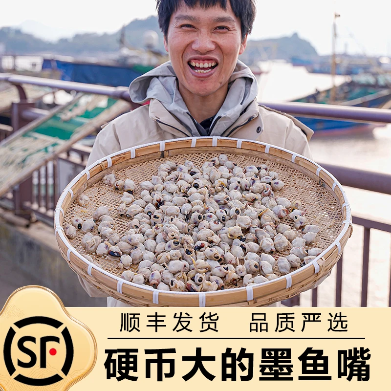 温州苍南墨鱼嘴大号熟制新鲜肉质肥厚淡干下酒菜