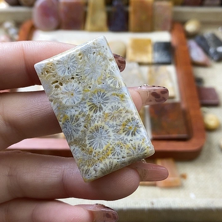 硅化珊瑚（珊瑚玉）未镶嵌颈饰