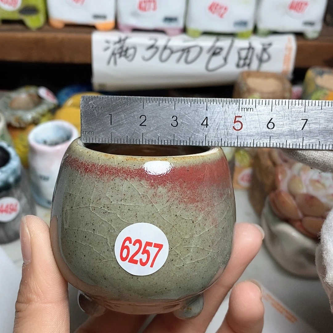 红陶拍5送一个小