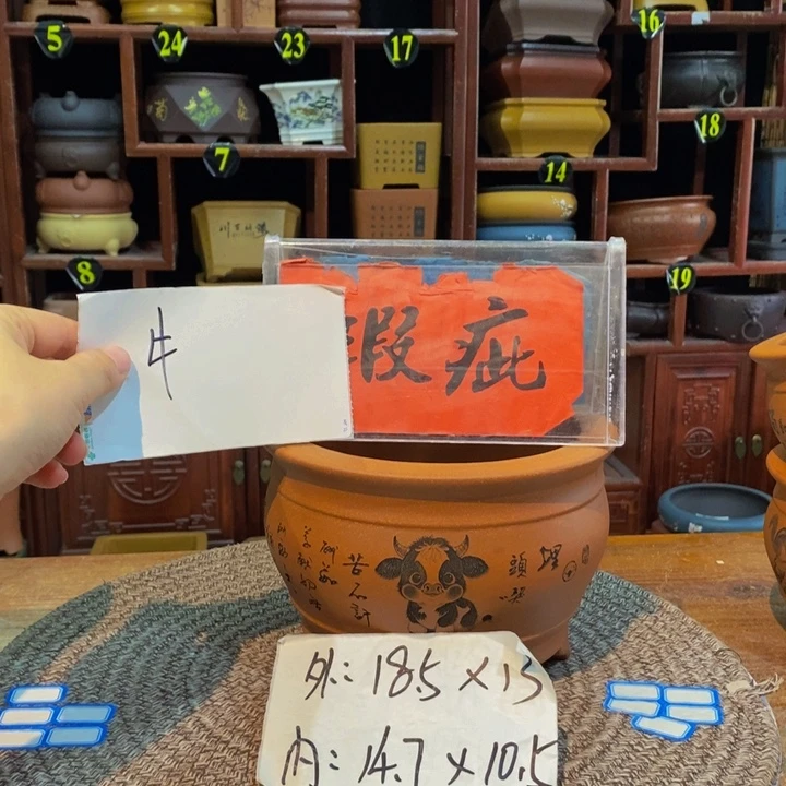 紫砂花盆紫砂花盆