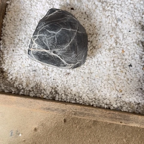 无花朵风家居装修效果图