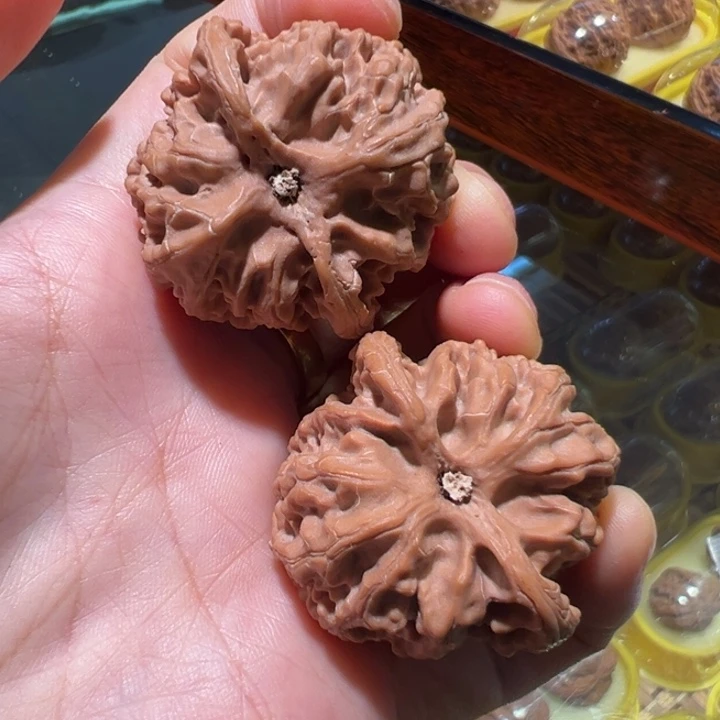 文玩核桃把件40苹果园