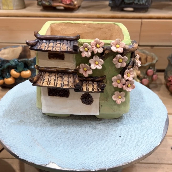 陶然多肉花盆百搭