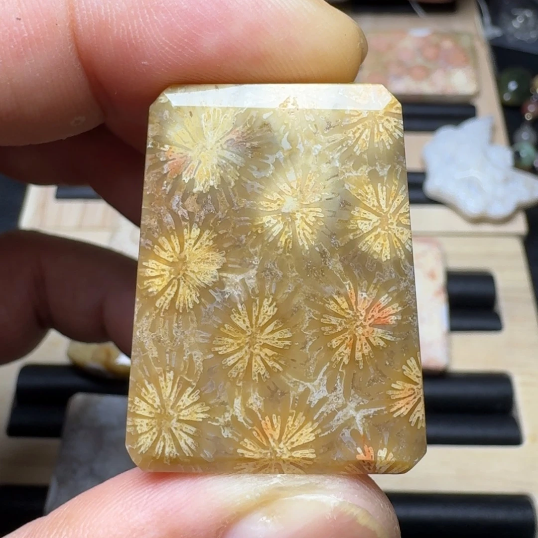 未镶嵌纯天然色有机玉石保真色硅化玉