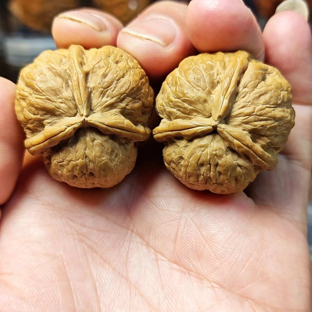 吊坠文玩核桃矮桩磨盘三棱蛤蟆头原皮原色骨质超好（5）