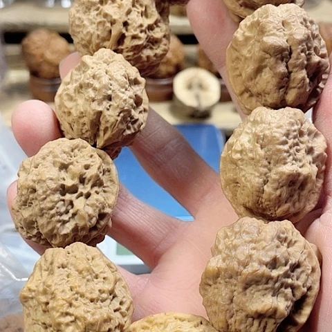 文玩核桃手串盘龙金蟾带彩10粒36