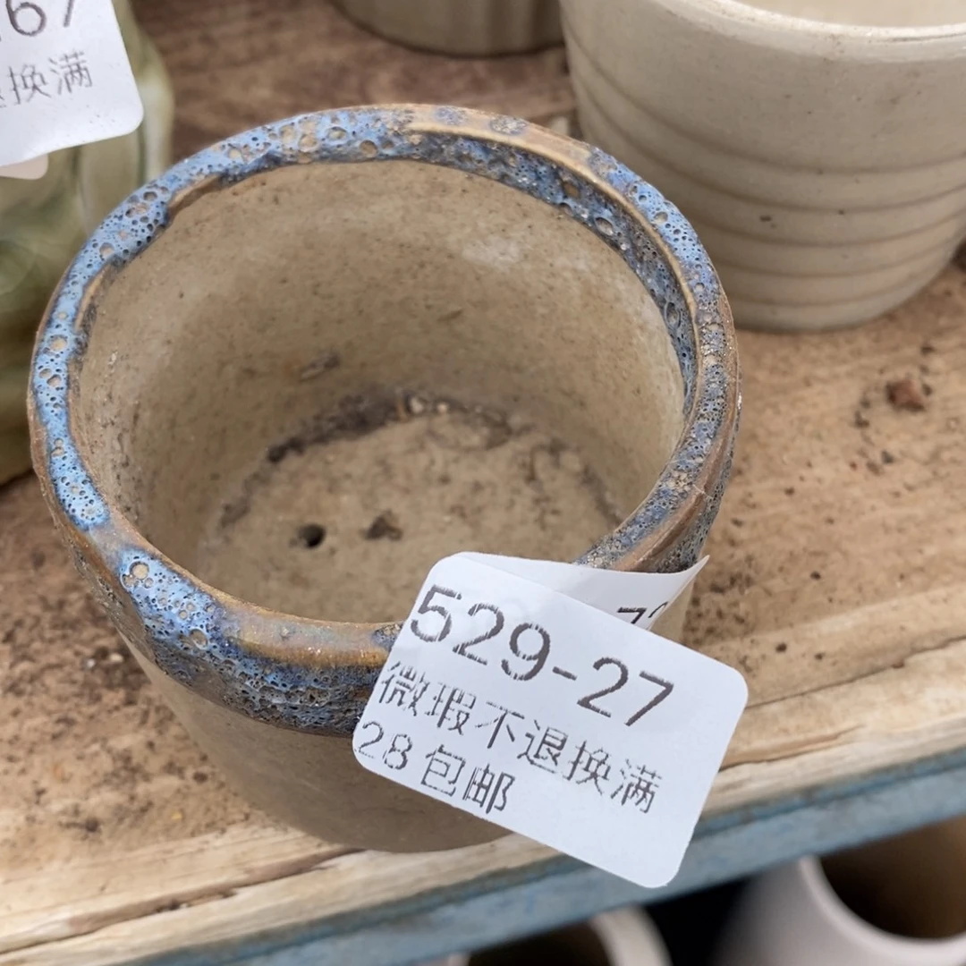 27号多肉盆小可爱