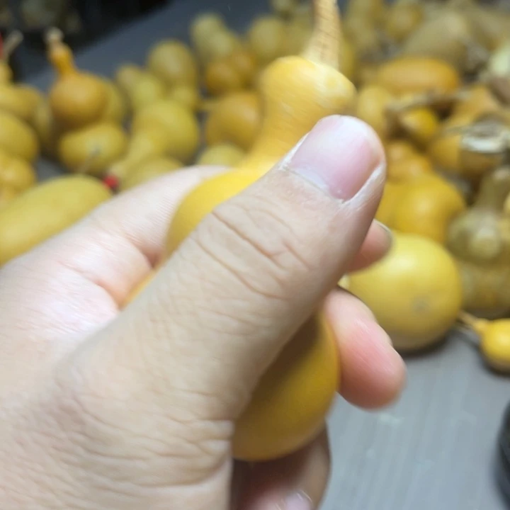 *****健健康康快快乐乐