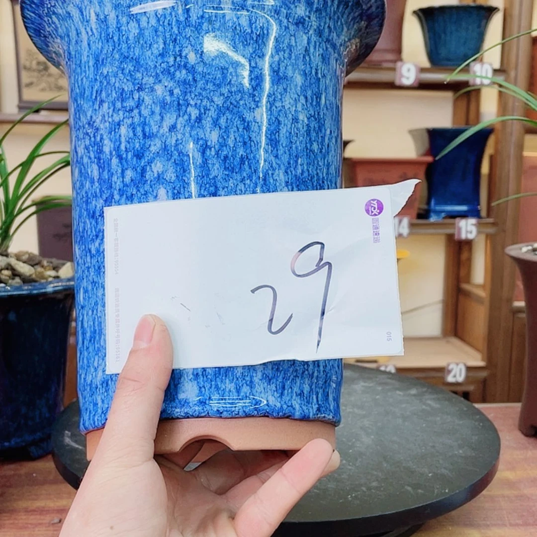 【闪购商品】紫砂花盆老**茶兰花525544756665857888