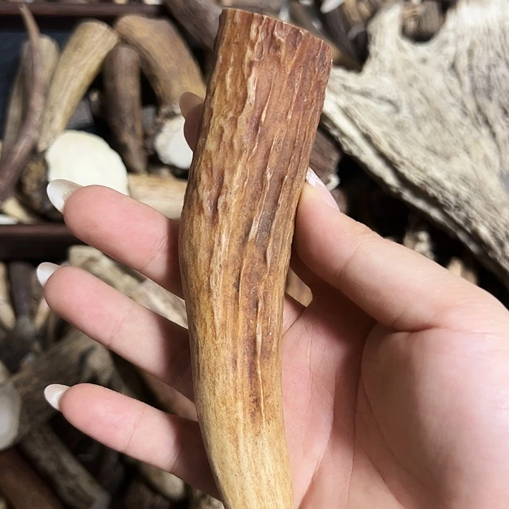 虫***虫香榧木木雕款鹿角