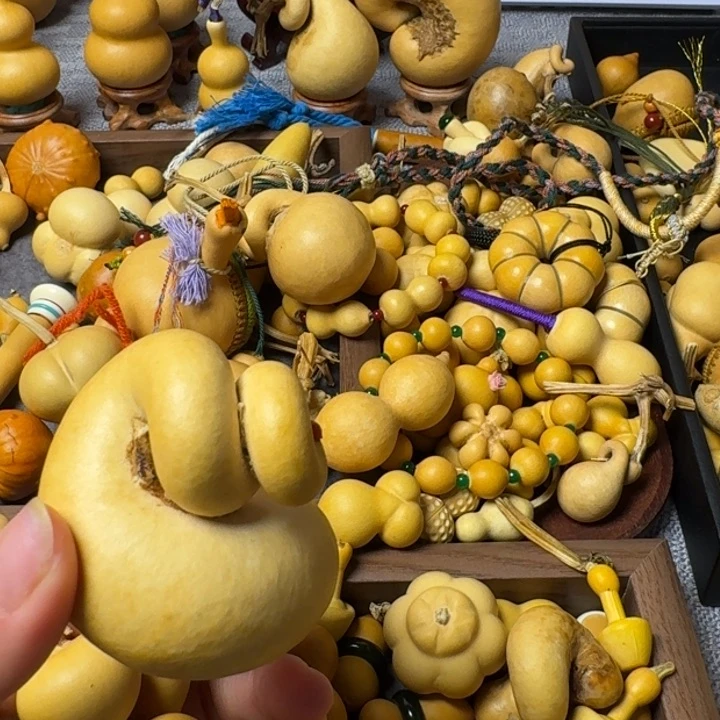 小***室我的小可爱们都好可爱啊