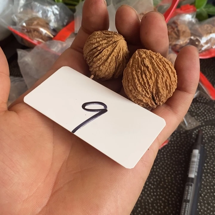 龙脊菩提吊坠猴头文玩核桃