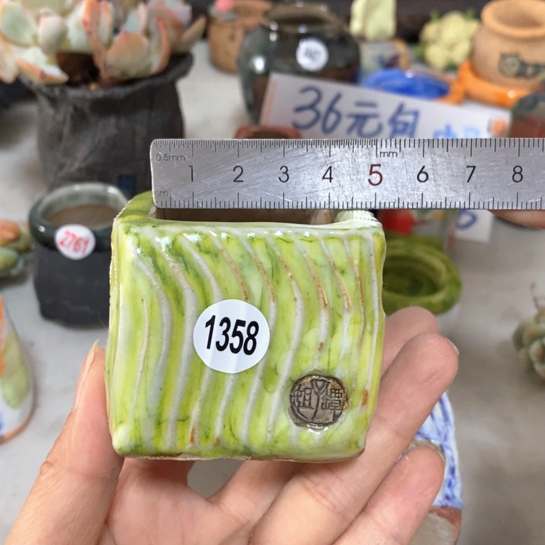 拍5送一个小礼物