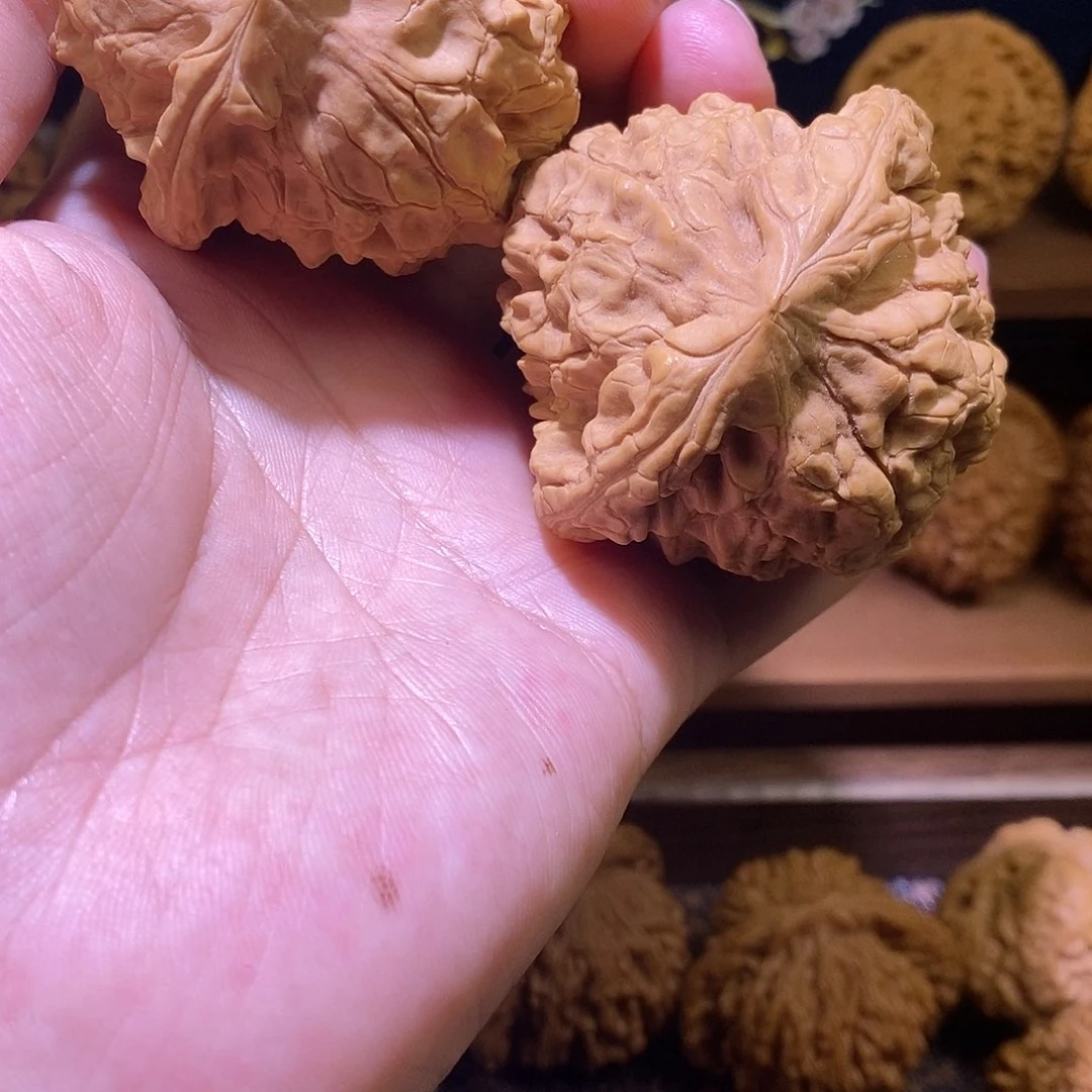 文玩核桃把件30龙鼎