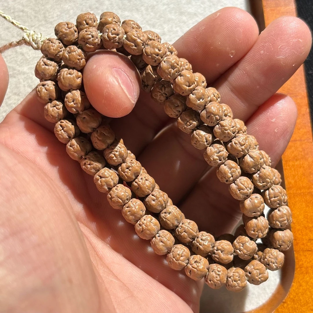 原桩佛手五爪金龙小金刚菩提6.8