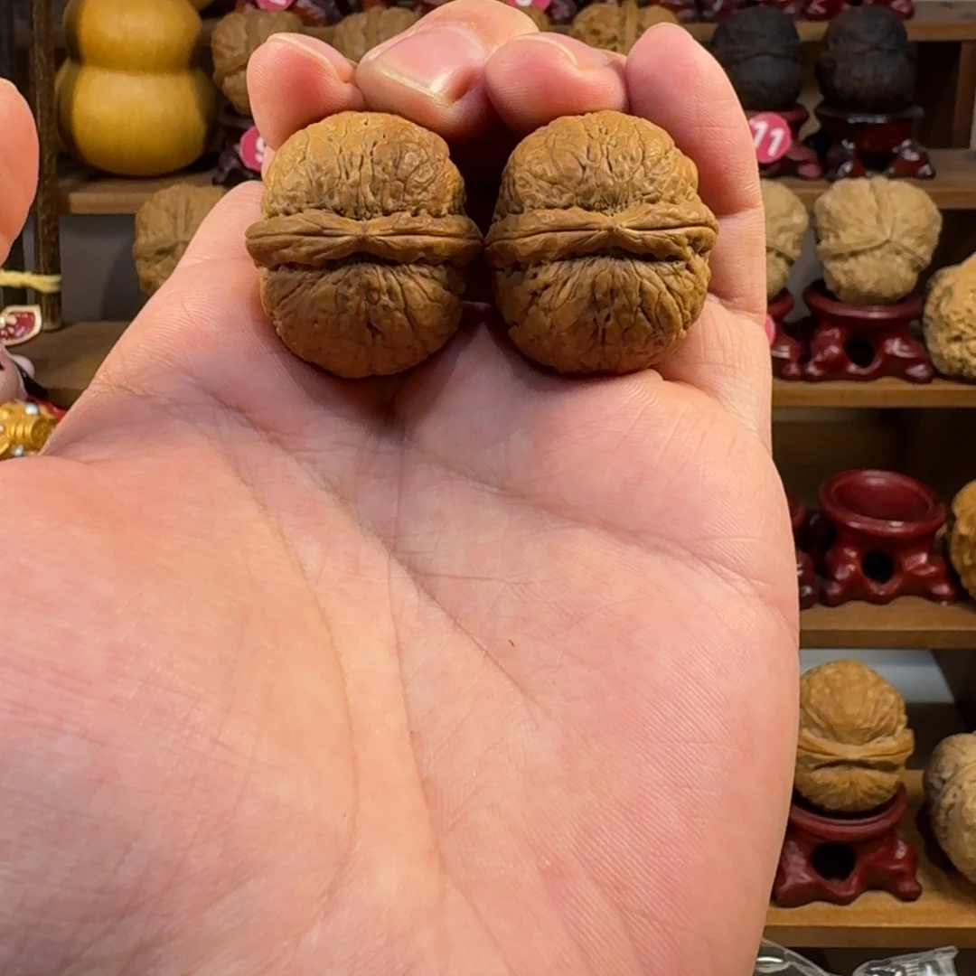 核桃铁核桃把件粗筋小胖墩